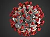 Das Coronavirus (Illustration).