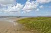 Eine Salzwiese zwischen dem Küstenstreifen bei Sahlenburg (Kreis Cuxhaven) und der der Nordseeinsel Neuwerk.
