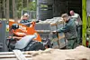 Tiger in der Transportbox