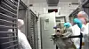 Tierversuche in Hamburg: Ein Affe wird für einen Versuch fixiert.
