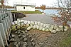 DSC_3124Elbe