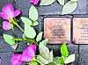 Stolperstein für Hans Leipelt. Er liegt dort, wo die Familie lebte: Mannesallee 20 in Wilhelmsburg.