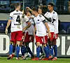 Die HSV-Spieler jubeln