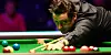 Zum sechsten Mal Weltmeister: Snooker-Legende Ronnie O'Sullivan