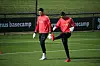 Thibaut Courtois und Koen Casteels beim Training