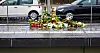 Blumen an der Haltestelle „Fiedelerstraße“ der Stadtbahn in Hannover.