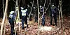 Ein Suchtrupp durchkämmt ein Waldstück zwischen Saseler Weg und Waldweg in Hamburg-Volksdorf.