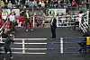 Regierungschef Günther (M. im Ring), Sozialdemokrat Losse-Müller (l. hinten), die Grüne Heinold (l. vorne) und FDP-Mann Buchholz (r. vorne) beim „Politboxen'.