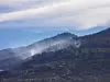 Rauch steigt von einem Hügel in Teneriffa auf. Wegen eines neuen Waldbrandes auf der bei Urlaubern beliebten Kanaren-Insel Teneriffa sind rund 2600 Menschen vorsorglich in Sicherheit gebracht worden.