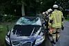 Auf der Möllner Landstraße stießen am Montagabend ein Pferd und ein Pkw zusammen.