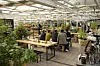 Hygge the Farm