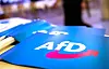 Fähnchen mit dem Logo der AfD liegen auf einem Tisch. (Symbolbild)