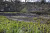 Mulden wie diese helfen dem Fluss dabei, überschüssiges Sediment loszuwerden.