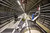 Der Teilchenbeschleuniger Hera des Deutschen Elektronen-Synchrotron (DESY)