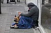Für manche Obdachlose ist der Hund ihr bester Freund. Doch organisierte Bettler nutzen die Tiere oft gezielt, um Mitleid zu erregen (Symbolbild).