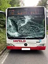 Während der Hirsch zurück in den Wald marschiert, wird der Linienbus abgeschleppt.