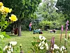 Wohlers Park