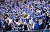 HSV-Fans im Volksparkstadion