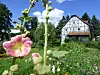 Weidelshof