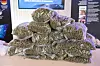 Von der Polizei sichergestelltes Marihuana (Symbolbild).