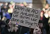 Demo