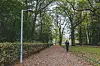 Leuchte Altonaer Volkspark Beleuchtung