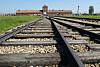 Auschwitz