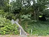 Das abgelegene Haus des Seniors in Hamburg-Eißendorf ist nur über diese steile Treppe zu erreichen.