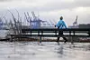 Eine Frau spaziert an der Elbe dick angezogen entlang
