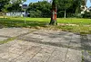 Blutige Auseinandersetzung am Billstedter Bahnhof – Mann mit Messerstichen getötet