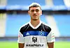 William Mikelbrencis (HSV)