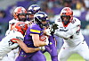 Football-Partie der Prague Lions gegen Vienna Vikings