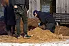 Ermittler der Polizei schauen in das Erdloch, in dem die vergrabene Leiche gefunden wurde.