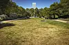 Die meisten Hamburger Parks sind schon Anfang Juni eher gelb als grün.