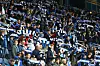 Arminia Bielefeld Fans