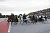 Auch die Reiterstaffel der Hamburger Polizei war zur Antifa-Demo in Wilhelmsburg vor Ort.