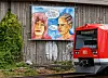 Yohana Hirschfeld Banner