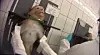 Das Unternehmen LPT musste seinen Standort in Mienenbüttel schließen, nachdem dort Fälle von Tierquälerei aufgedeckt worden waren.