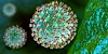 Die Grafik eines Coronavirus unter dem Mikroskop.