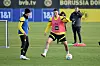 Süle und Co. sind wieder im Training
