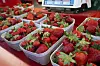 Erdbeeren in Schalen
