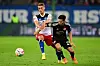 HSV-Profi Miro Muheim (l.) wurde gegen Düsseldorf nur eingewechselt