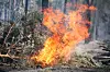 Waldbrand