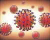 Coronavirus (Illustration)