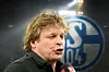 Youri Mulder in ein Mikrofon sprechend als Fotomontage mit Schalke-Logo im Hintergrund