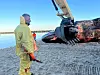 Ein 16 Meter langer toter Pottwal liegt auf dem Sandstrand vor Hörnum auf Sylt.