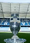 EM-Pokal im Volksparkstadion