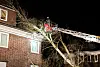 Zwischen 17 Uhr und 24 Uhr rückte die Hamburger Feuerwehr 284 Mal aus, wie hier wegen eines Baumes in Bergedorf, der auf ein Haus gestürzt war.