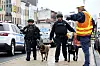 Fahndung nach Täter