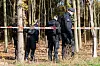 Polizisten hinter einem Polizeiabsperrband durchsuchen das Gelände.
